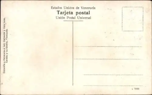 Ak Venezuela,  Cerro de Jesus Maiquetia, Palmenl