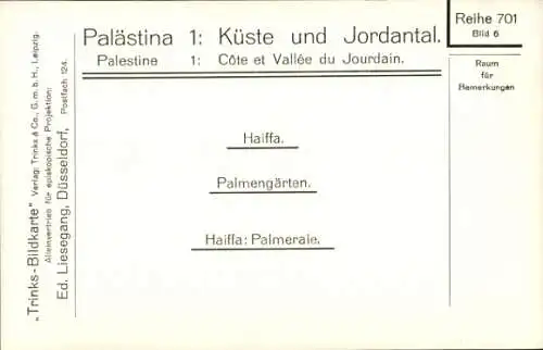 Ak Haifa Israel, Palmengarten