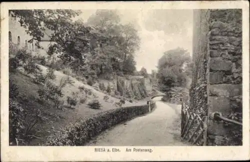 Ak Riesa an der Elbe Sachsen, Partie am Poetenweg, Bäume