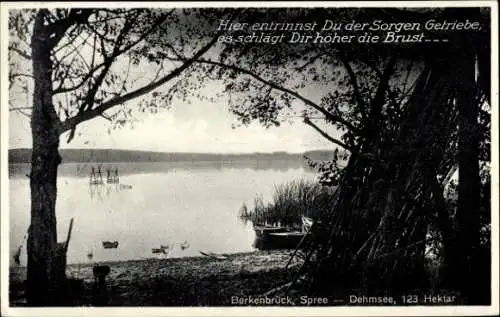 Ak Berkenbrück an der Spree, Dehmsee