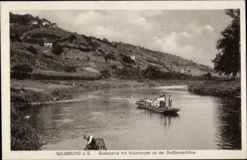 Ak Naumburg an der Saale, Saalepartie mit Weinbergen an der Großjenaerfähre