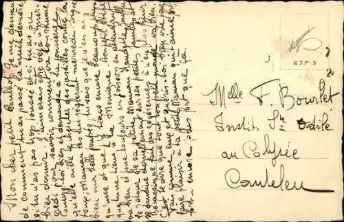 Künstler Ak Hunde, Halsband