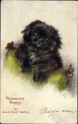 Künstler Ak Maud West Watson, Pekingese Puppy