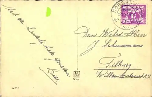 Ak Katze, Tierportrait