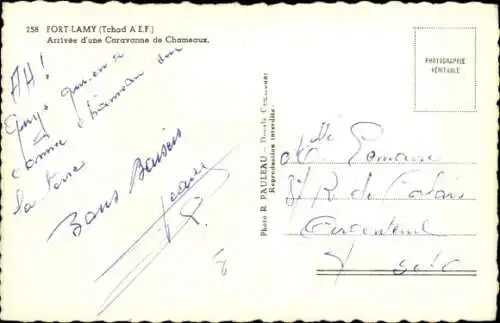 CPA Fort Lamy, Arrivée d'une Caravanne de Chameaux