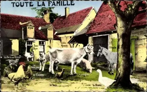 Ak Toute la Famille, Kuh, Esel, Hahn, Hund