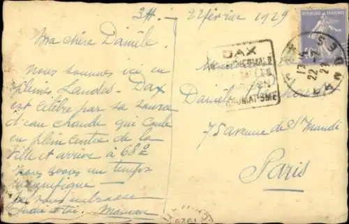 Ak Schafe auf einer Lichtung in einem Wald