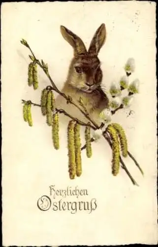 Ak Frohe Ostern,  Osterhase mit Weidenkätzchen