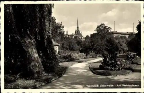 Ak Eberswalde im Kreis Barnim, Partie am Weidendamm mit Blick auf den Kirchturm