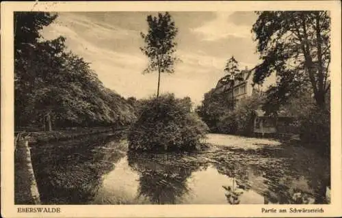 Ak Eberswalde in der Mark, Schwärzeteich