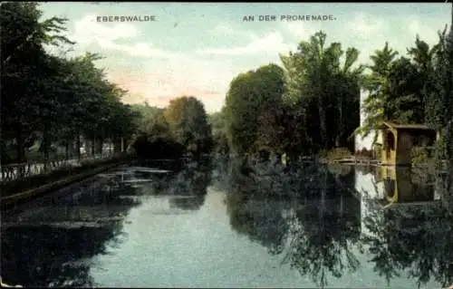 Ak Eberswalde in der Mark, An der Promenade