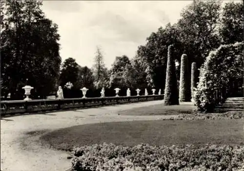 Ak Potsdam Sanssouci, Parkanlage