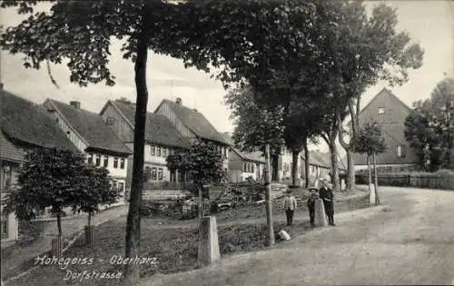 Ak Hohegeiß Braunlage im Oberharz, Dorfstraße, Häuser, Bäume, Spaziergänger