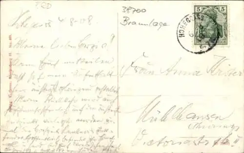 Ak Hohegeiß Braunlage im Oberharz, Dorfstraße, Häuser, Bäume, Spaziergänger