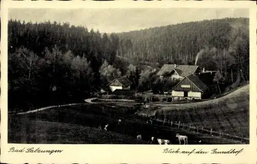 Ak Bad Salzungen in Thüringen, Landschaftsbild, Grundhof, Bauernhäuser, Kühe