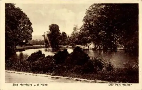 Ak Bad Homburg vor der Höhe Hessen, Parkanlage, Weiher, Bäume, Landschaft, historische Postkarte