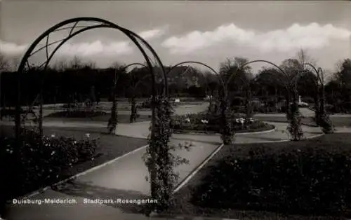 Ak Meiderich Duisburg im Ruhrgebiet, Stadtpark, Rosengarten