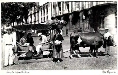 Ak Belém Lisboa Lissabon Portugal, Wagen mit Ochs, Passagiere in Kutsche, Stadtansicht