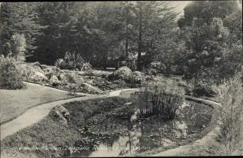 Ak Nuwara Eliya Sri Lanka, Gartenansicht, Teich mit Pflanzen und Felsen, Bäume im Hintergrund