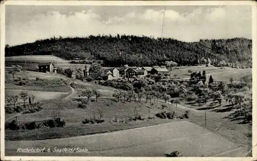 Ak Knobelsdorf Reschwitz Saalfelder Höhe Saalfeld an der Saale Thüringen, Gesamtansicht