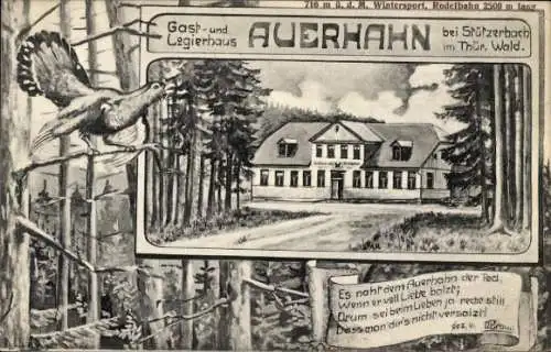 Ak Stützerbach Ilmenau Thüringer Wald, Auerhahn, Gasthaus, Thüringer Wald, Rodelbahn, historis...