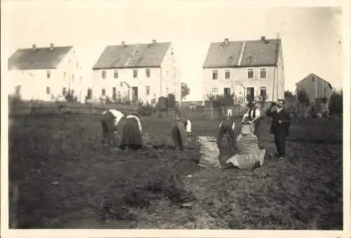 Foto Deutschland, Feldarbeit, Menschen bei der Arbeit, Wohnhäuser im Hintergrund