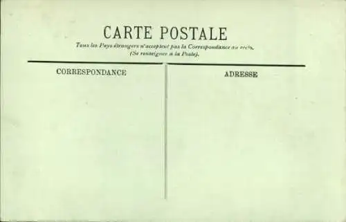 Ak Tarbes Hautes Pyrénées, Types des Pyrénées, Attelage de Baufs