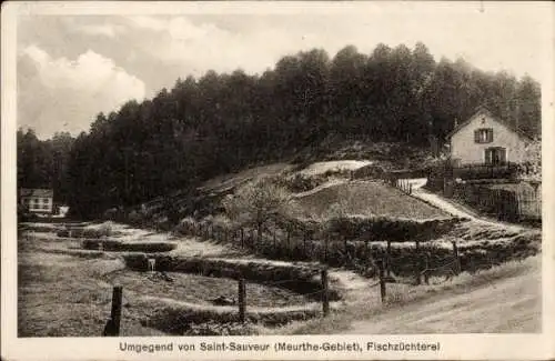 Ak Saint Sauveur Meurthe et Moselle Lothringen, Blick zur Fischzüchterei