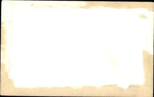 Ak Junge getigerte Katze