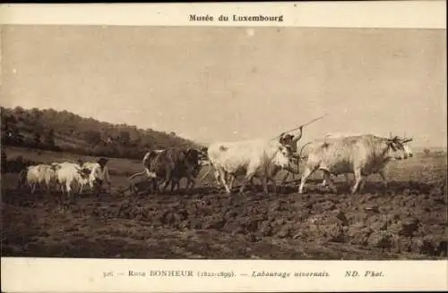 Künstler Ak Rosa Bonheur, Pflügende Ochsen