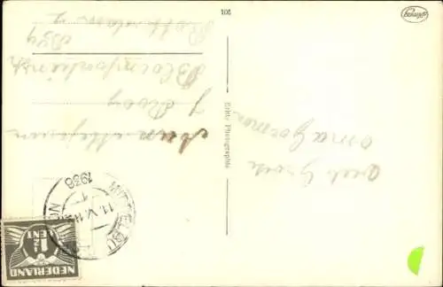 Ak Katze, Tierportrait