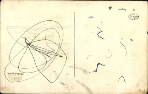 Ak Hund, Tierportrait