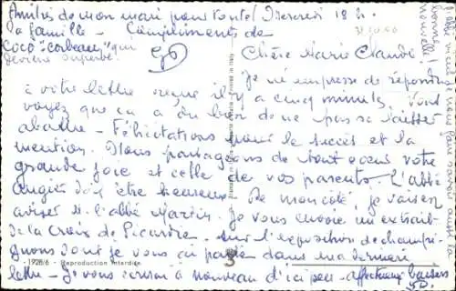 Ak Katze, Siamkatze, Tierportrait