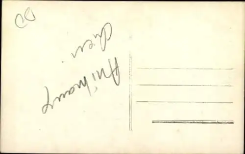 Ak Hund, Pekinese, Tierportrait