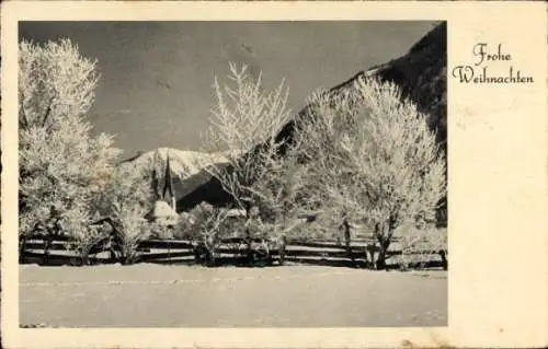Ak Glückwunsch Weihnachten, Schnee, Verschneite Bäume