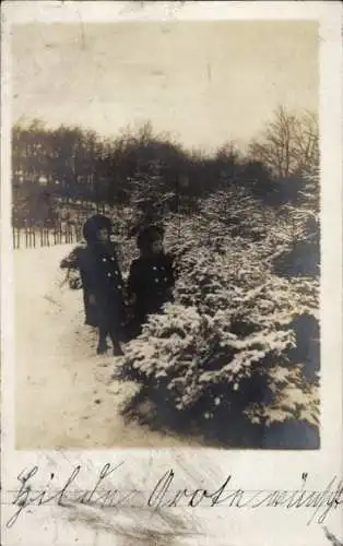 Foto Ak Kinder bewundern Tannenbäume, Winter, Schnee