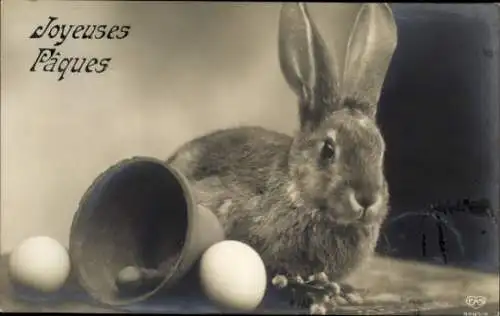 Ak Glückwunsch Ostern, Hase, Ostereier