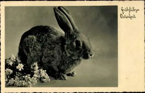 Ak Glückwunsch Ostern, Hase mit Blumen