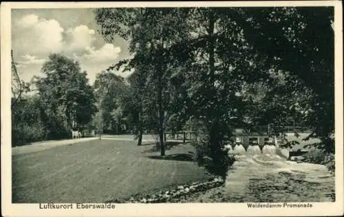 Ak Eberswalde in der Mark, Weidendamm-Promenade