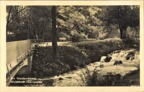 Ak Eberswalde in der Mark, Weidendamm