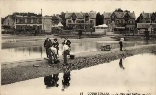 CPA Courseulles-sur-Mer Calvados, Parc aux huitres