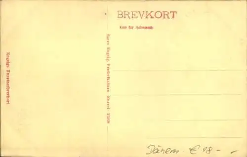Ak Frederikshavn Dänemark, Danmarksgade, Buchhandlung, Kunsthandlung