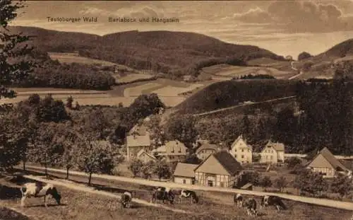 Ak Detmold am Teutoburger Wald, Berlebeck, Hangstein