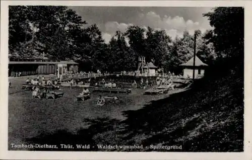 Ak Tambach Dietharz in Thüringen, Waldschwimmbad, Spittergrund