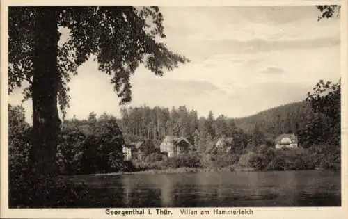 Ak Georgenthal in Thüringen, Villen am Hammerteich, Natur, Wasser, Bäume, Landschaft