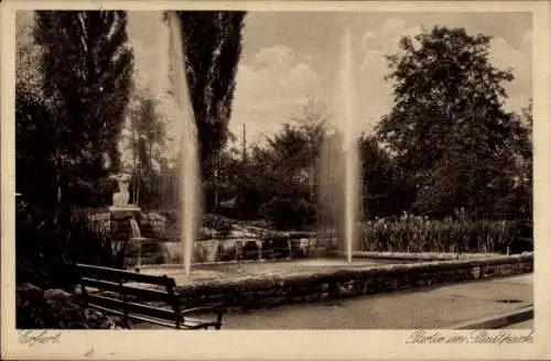 Ak Erfurt in Thüringen, Brunnen im Stadtpark, Parkanlage mit Bäumen und Bänken