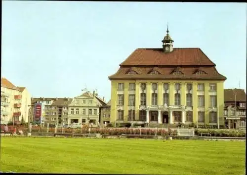 Ak Malchin in Mecklenburg, Rathaus, grüne Wiese, Häuser im Hintergrund