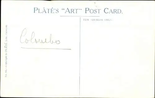 Ak Negombo Sri Lanka Ceylon, Banyan Tree