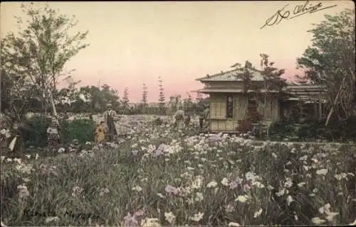 Ak Japan, Parkanlagen, Japaner in einem Garten, Blumenwiese