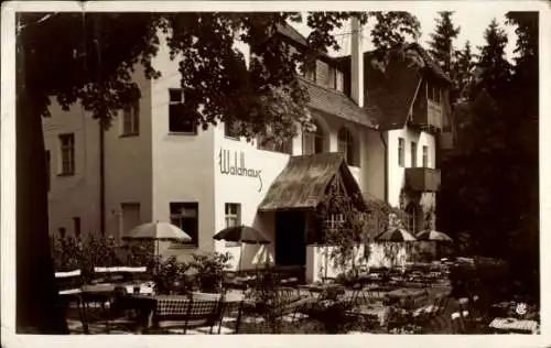 Ak Augustusburg im Erzgebirge, Terrassenpartie am Waldhaus, Inh. W. Gaster